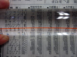 非球面バールーペ(赤ライン付き)文字拡大図